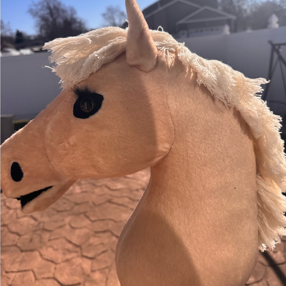 Lemeuix Hobby Horse